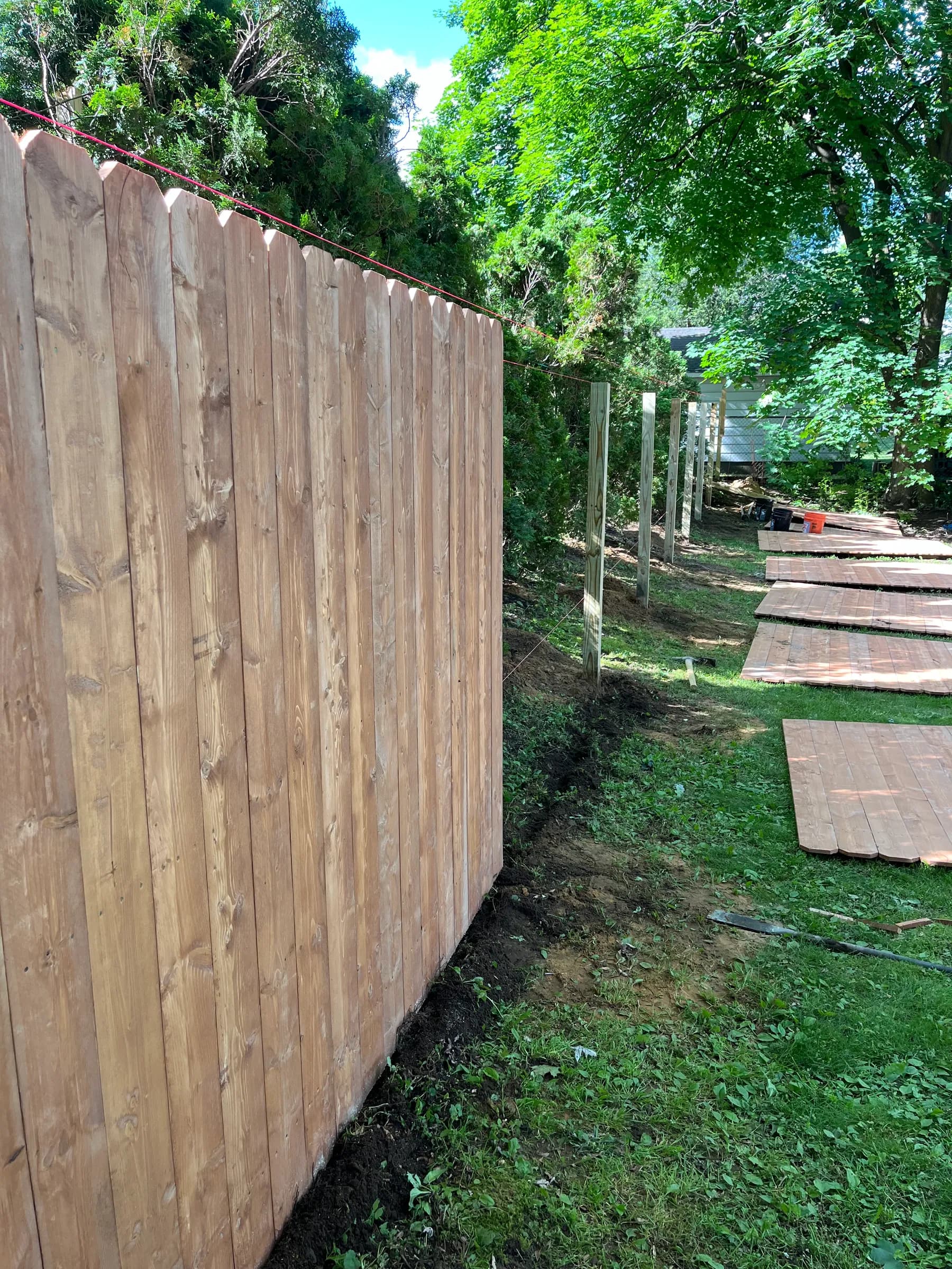 Wooden pathway among trees and foliage